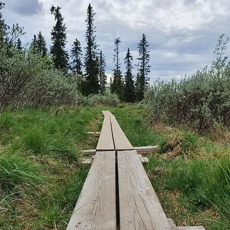 Апартаменты Fantastic And High Standard In Nordseter