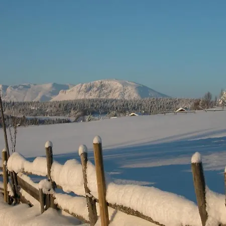 Fantastic And High Standard In Nordseter *