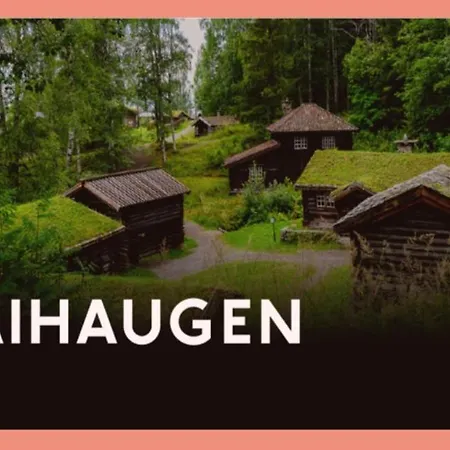 Fantastic And High Standard In Nordseter *