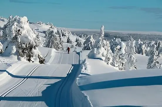 Fantastic And High Standard In Nordseter *