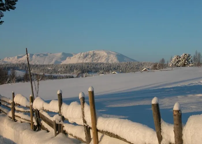 Fantastic And High Standard In Nordseter *