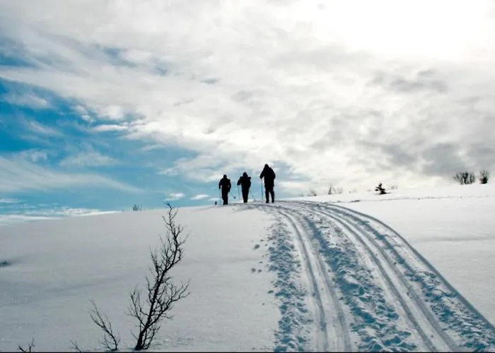 Fantastic And High Standard In Nordseter Leilighet *