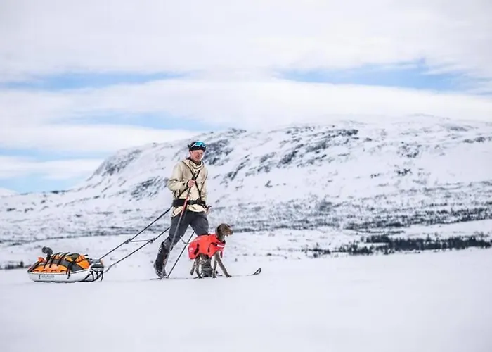 Fantastic And High Standard In Nordseter * Lillehammer