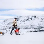 Fantastic And High Standard In Nordseter * Lillehammer