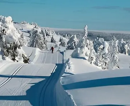 Fantastic And High Standard In Nordseter *